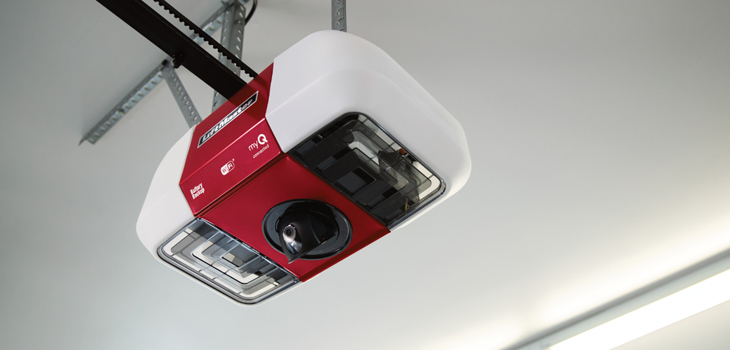 liftmaster garage door motor repair in Chatsworth